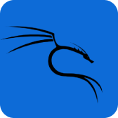 کالی لینوکس